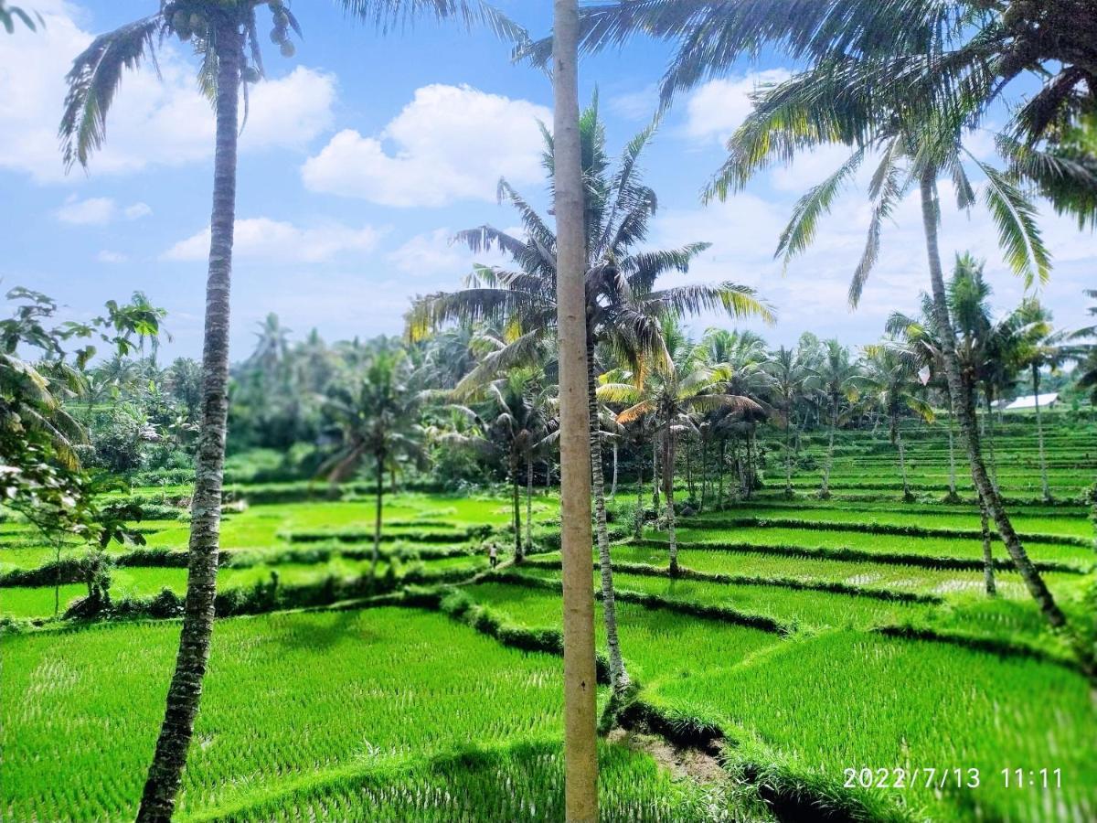 Green Haven Homestay Tetebatu Bagian luar foto