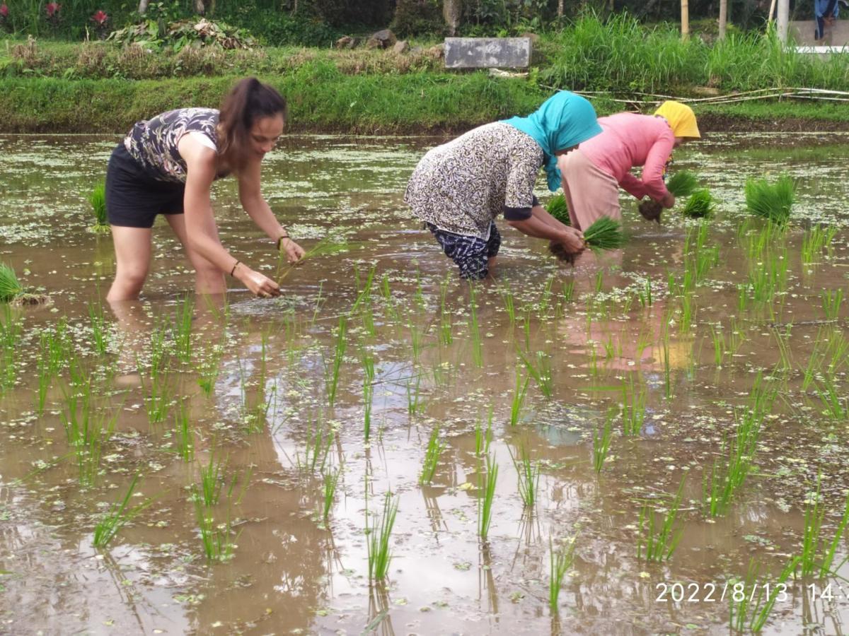Green Haven Homestay Tetebatu Bagian luar foto