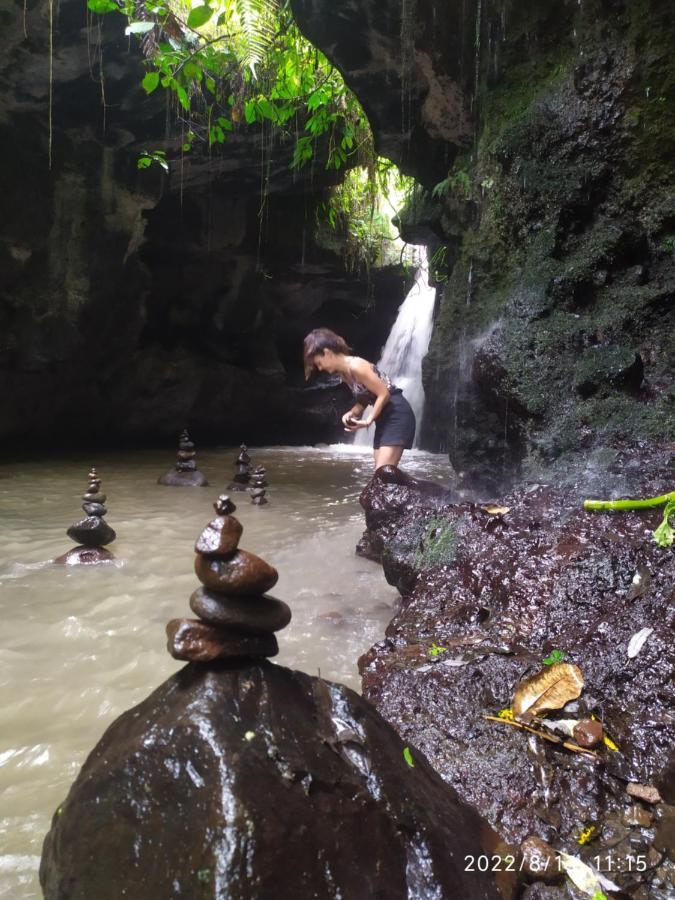 Green Haven Homestay Tetebatu Bagian luar foto