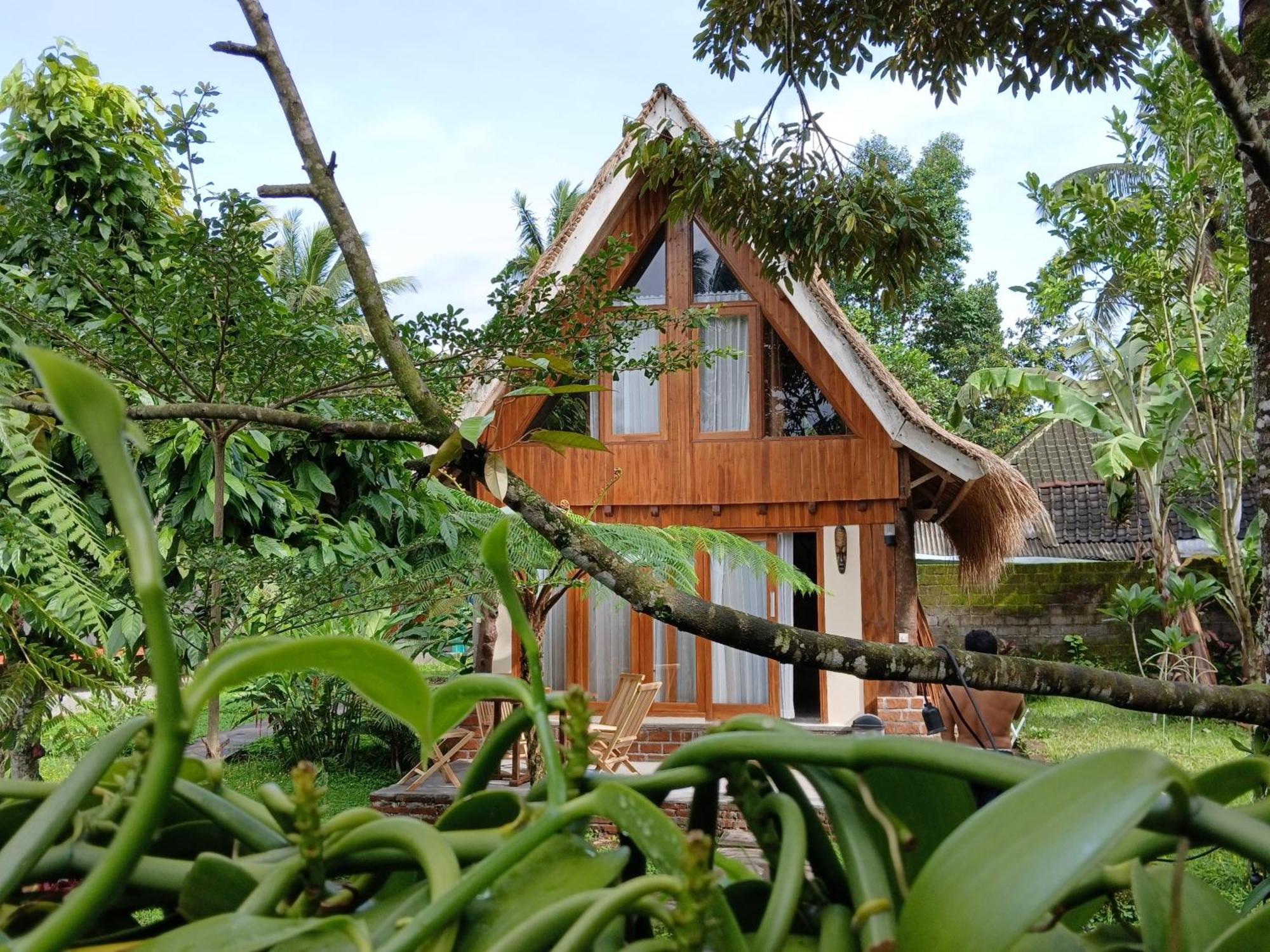 Green Haven Homestay Tetebatu Bagian luar foto